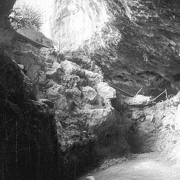 Gisement de Laugerie-Basse