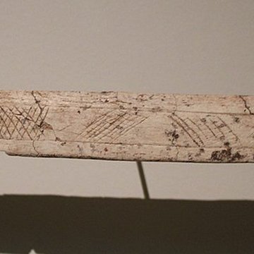 Gisement de Laugerie-Basse