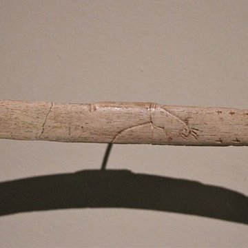 Gisement de Laugerie-Basse