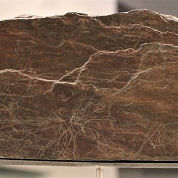 Gisement de Laugerie-Basse