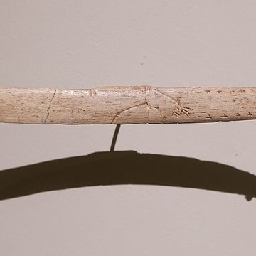 Gisement de Laugerie-Basse