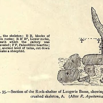Gisement de Laugerie-Basse