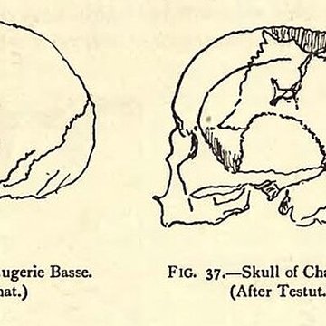 Gisement de Laugerie-Basse