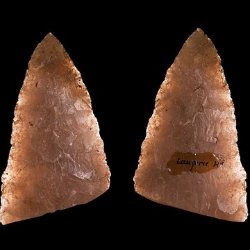 Gisement de Laugerie-Basse