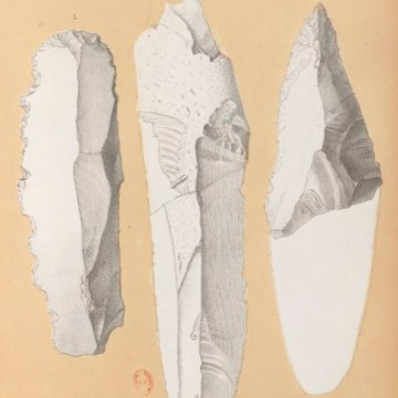 Gisement de Laugerie-Basse