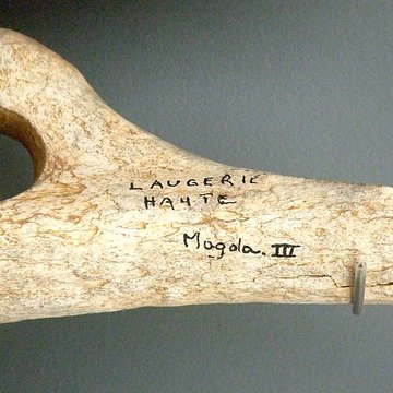 Gisement de Laugerie-Basse