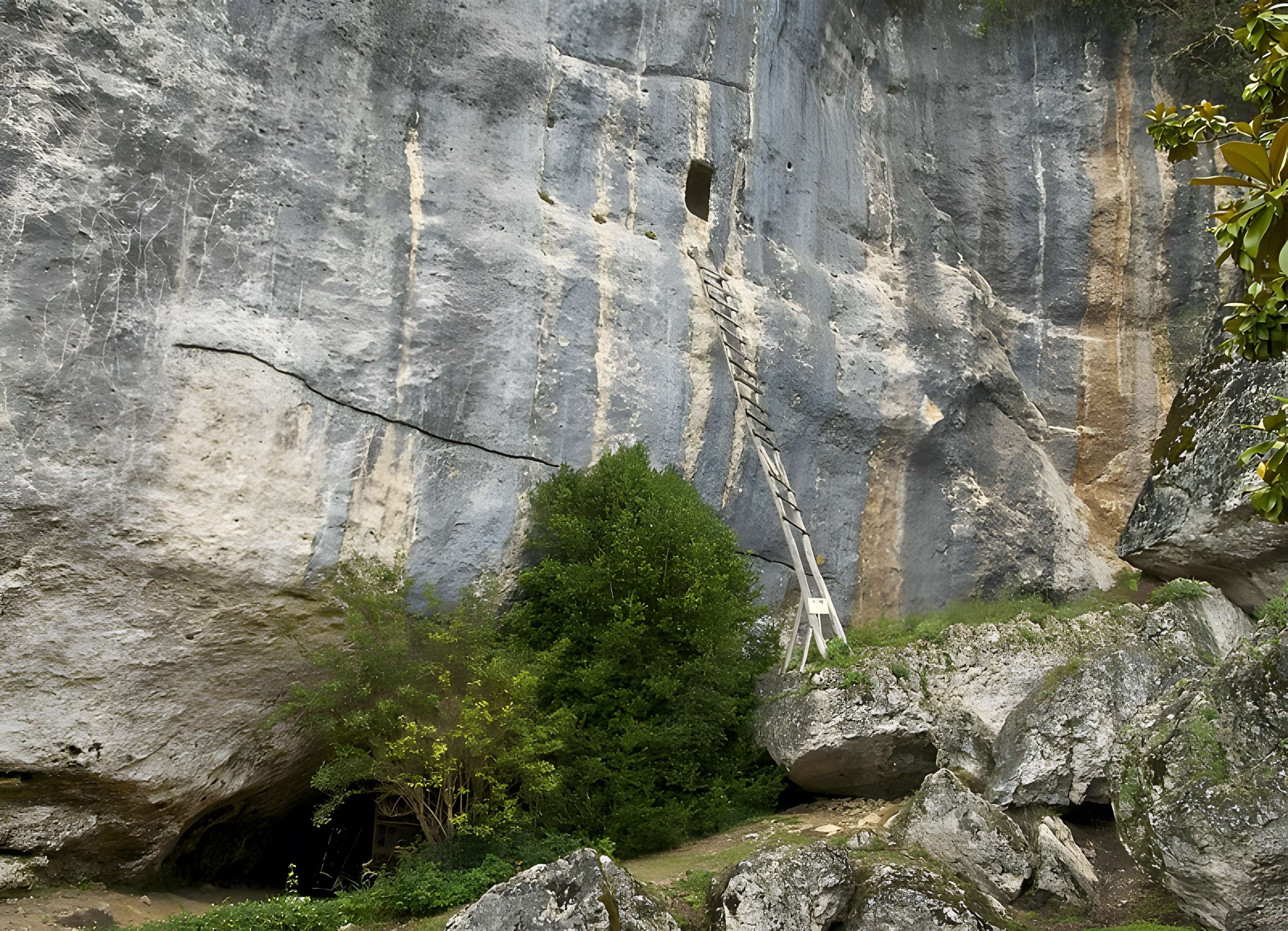 Gisement de Laugerie-Basse
