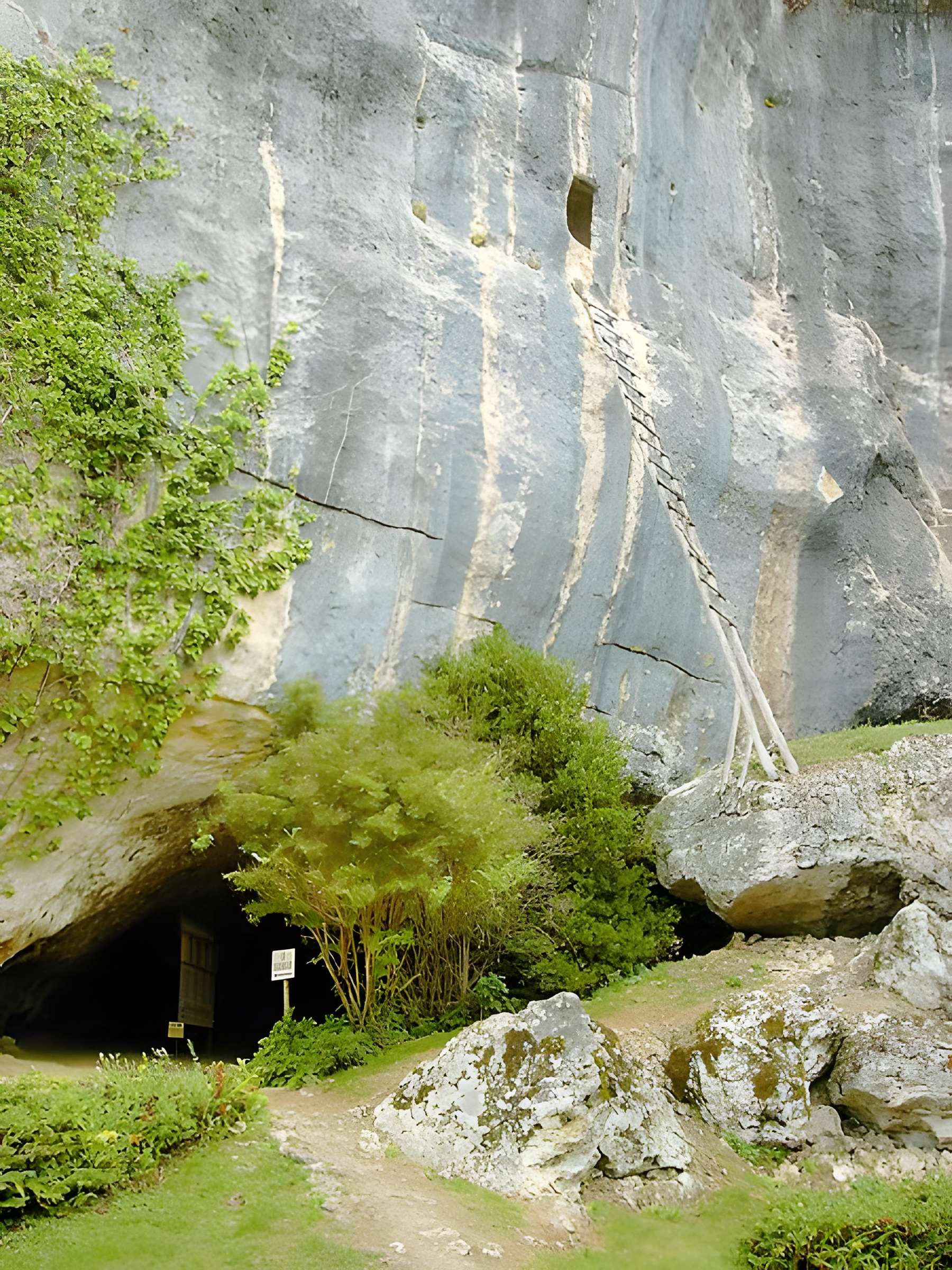 Gisement de Laugerie-Basse