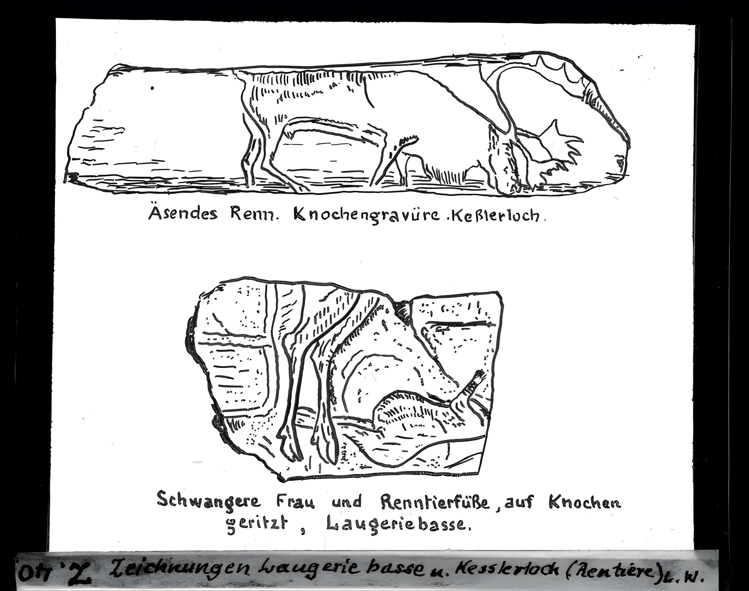Gisement de Laugerie-Basse
