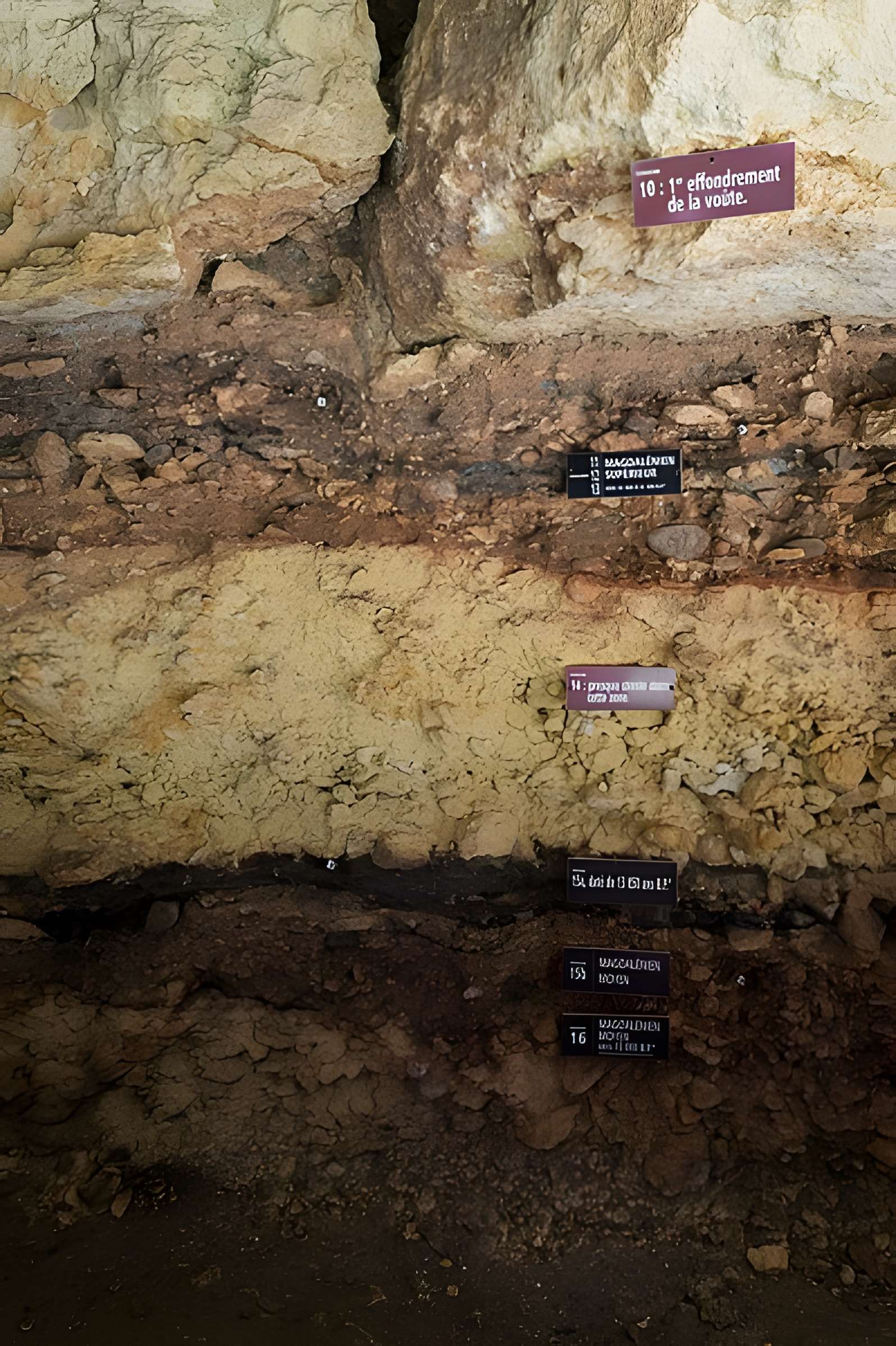 Gisement de Laugerie-Basse