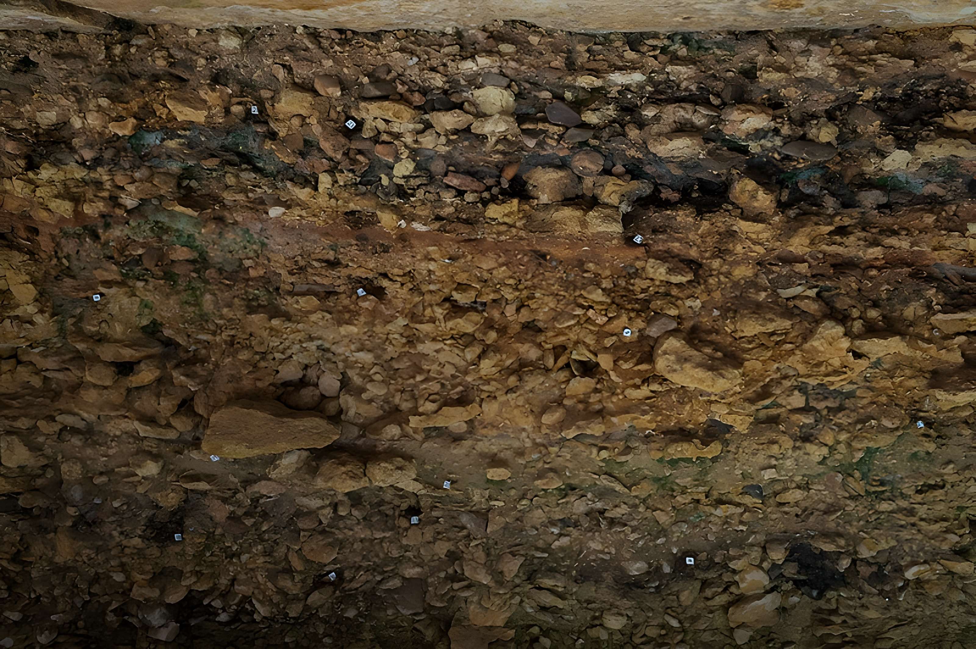 Gisement de Laugerie-Basse