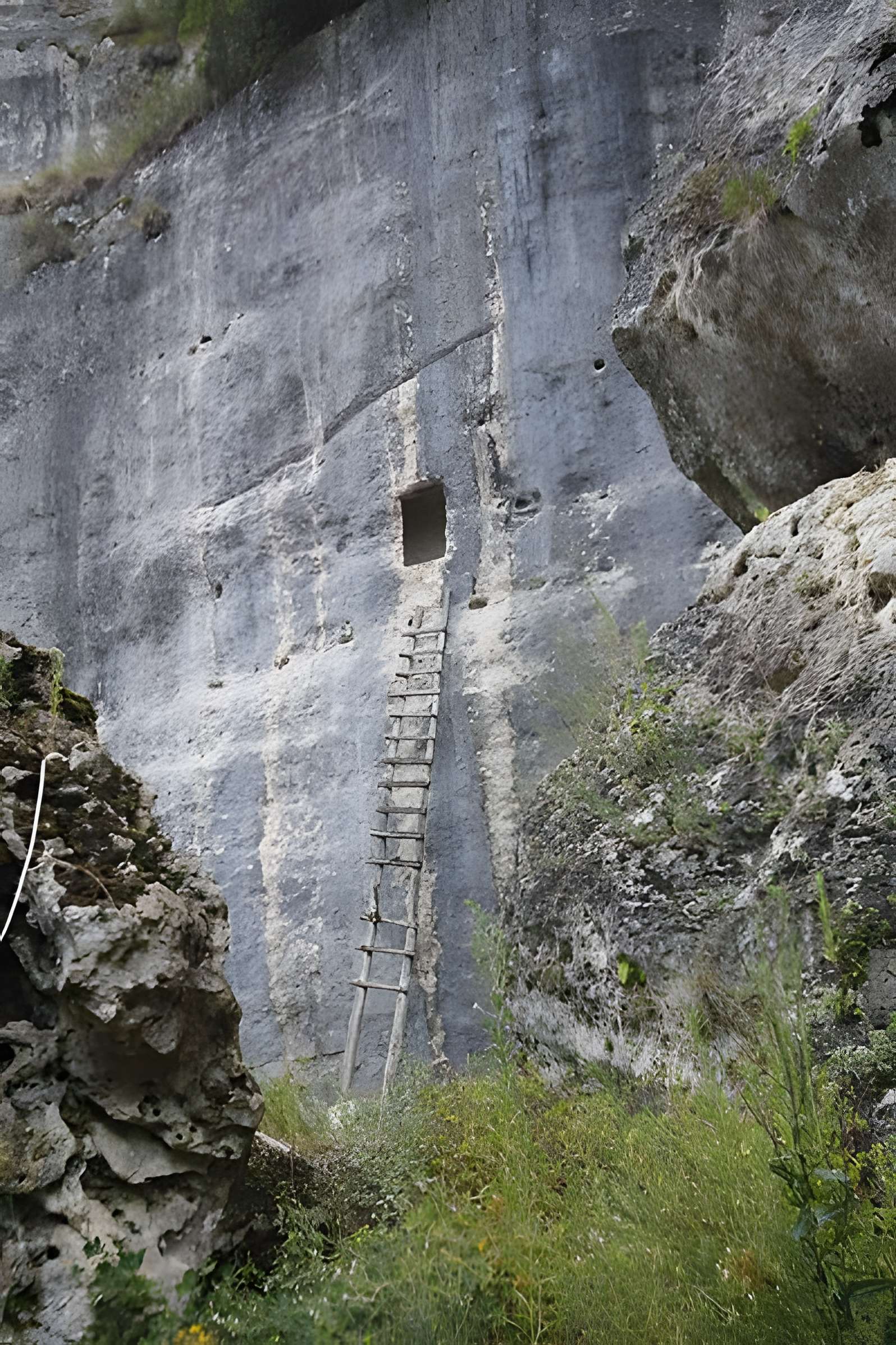 Gisement de Laugerie-Basse