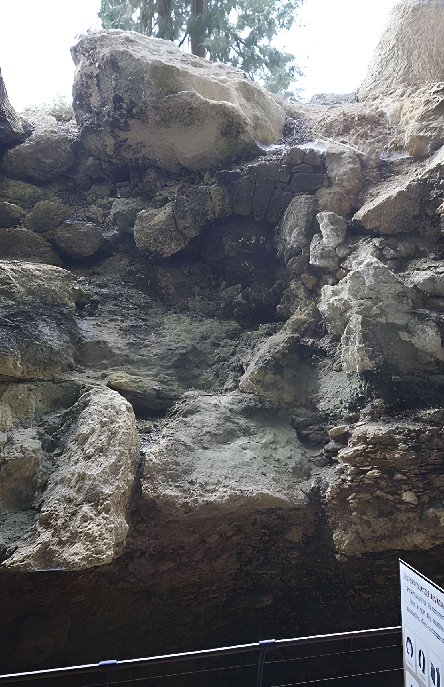 Gisement de Laugerie-Basse