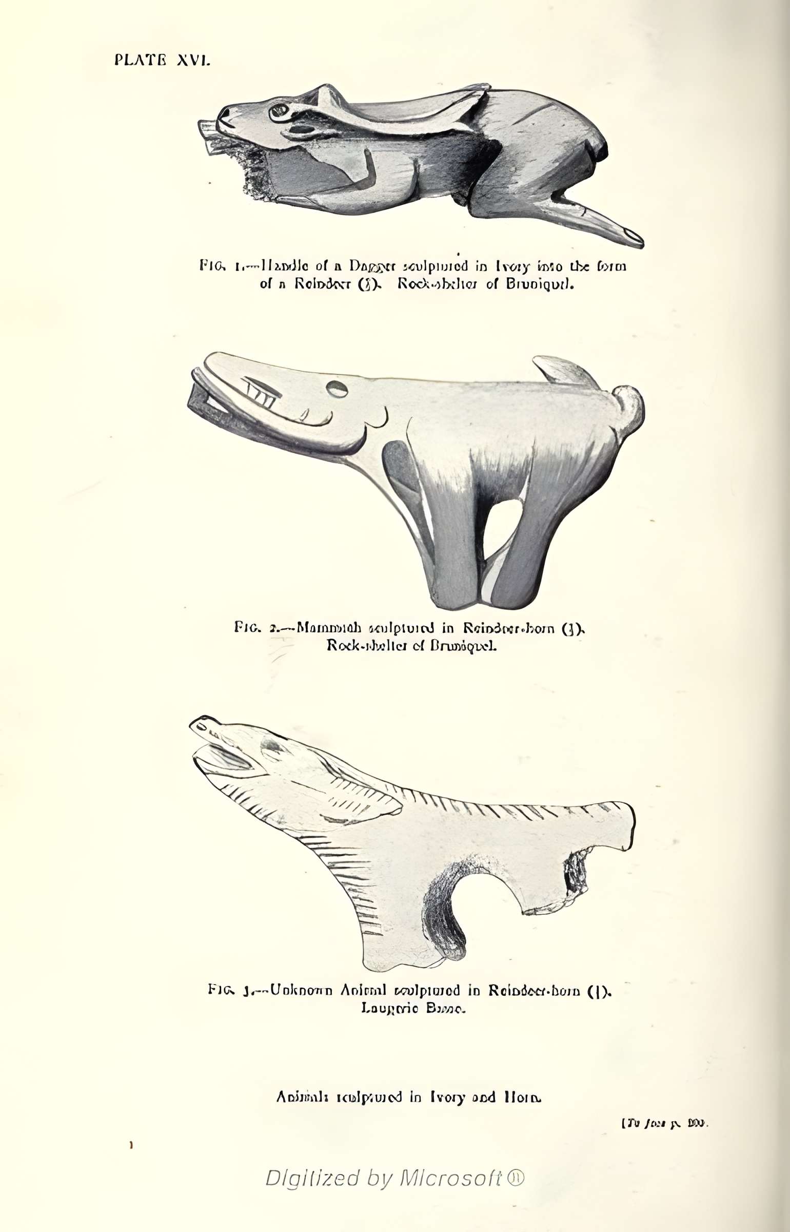 Gisement de Laugerie-Basse