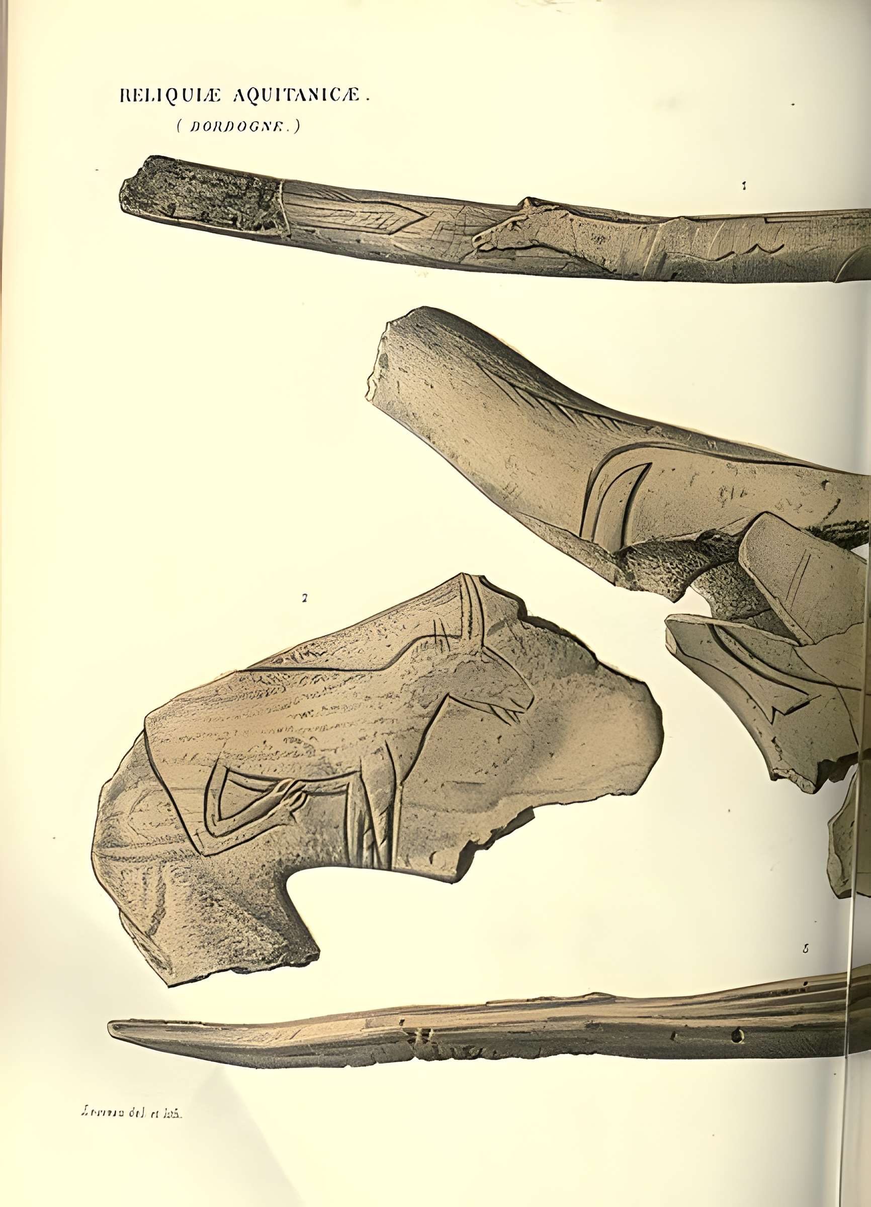 Gisement de Laugerie-Basse