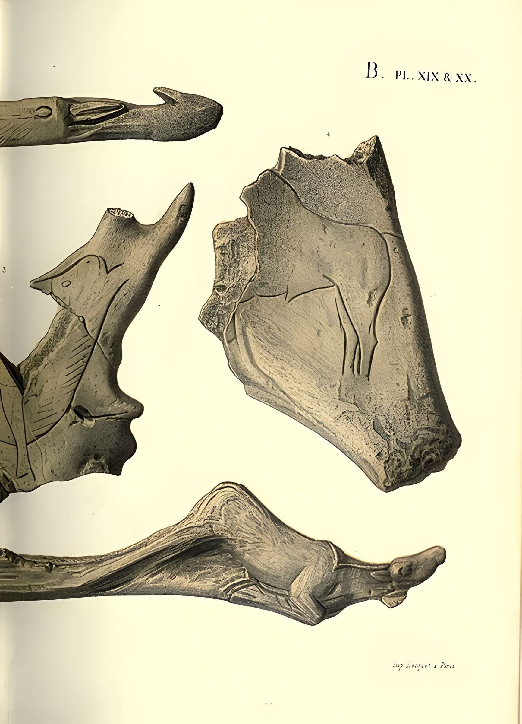 Gisement de Laugerie-Basse