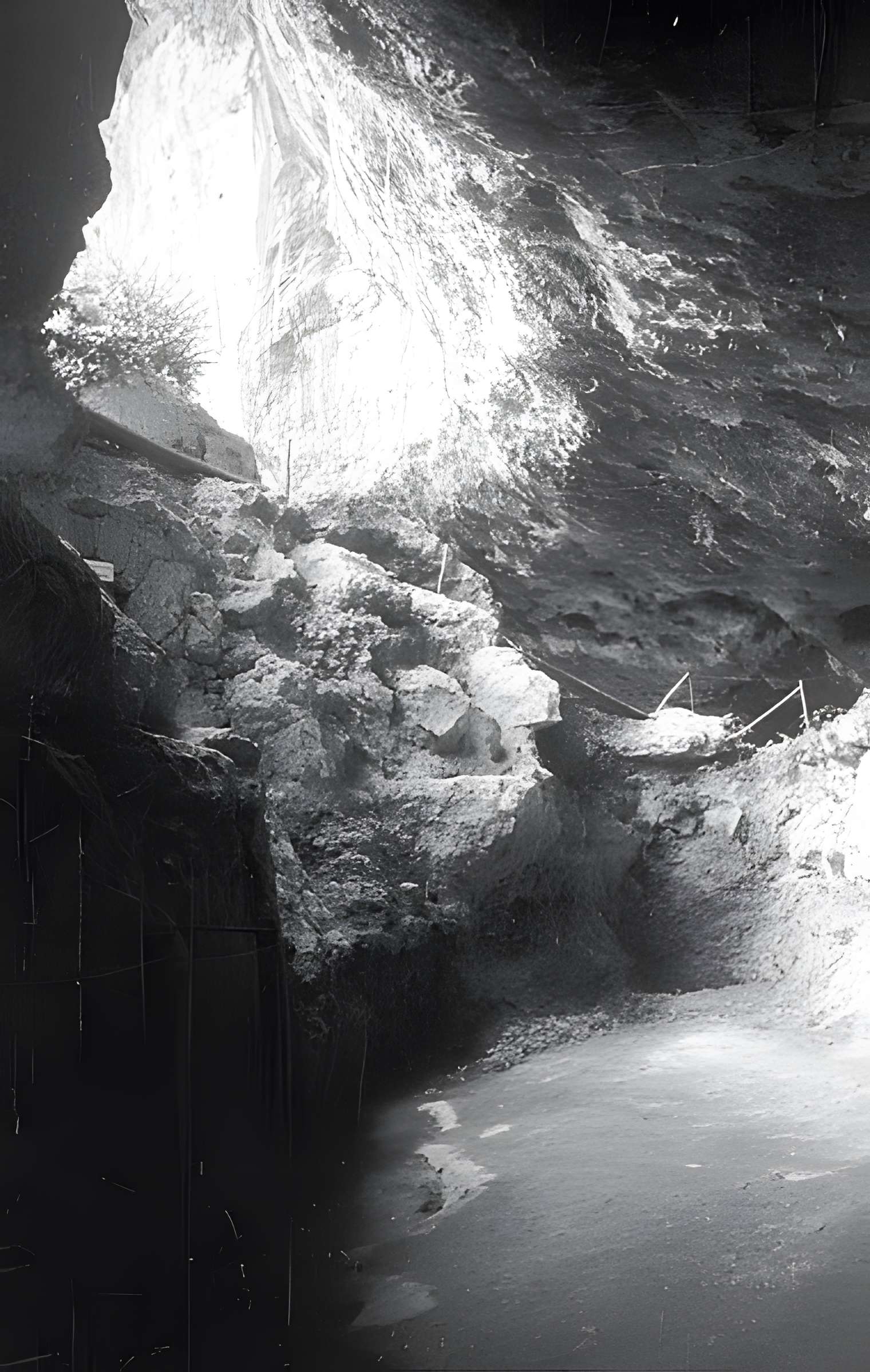 Gisement de Laugerie-Basse