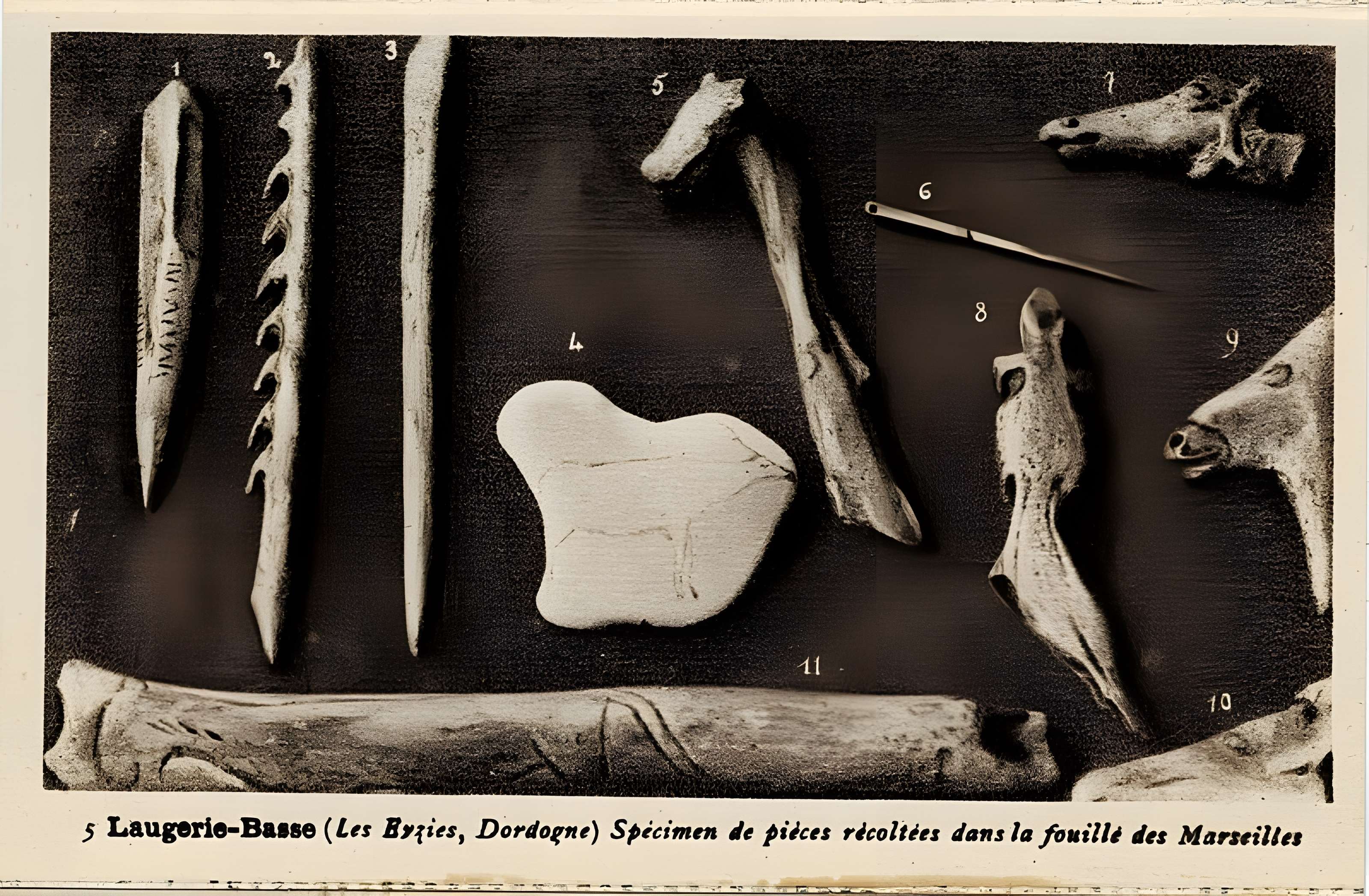 Gisement de Laugerie-Basse