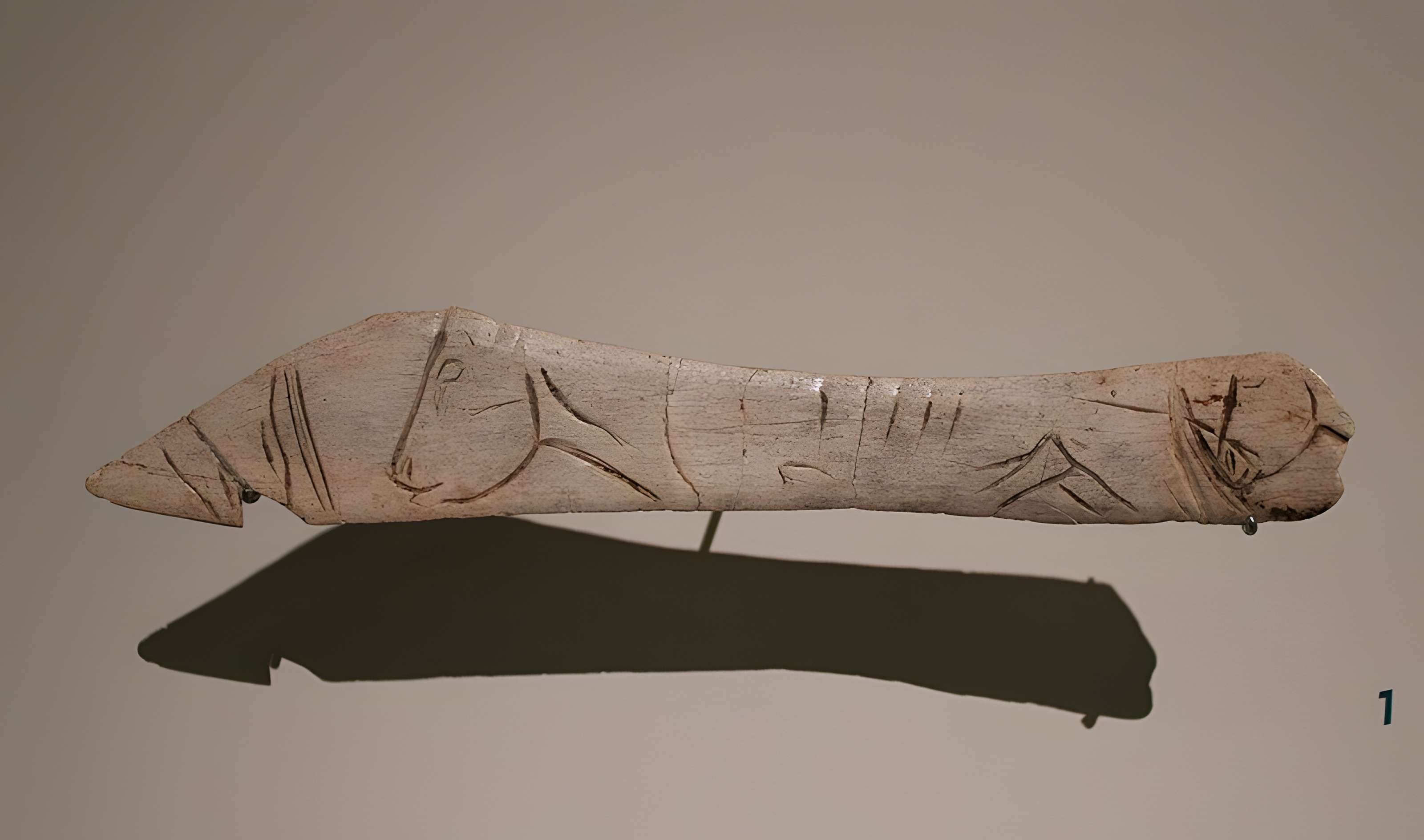 Gisement de Laugerie-Basse