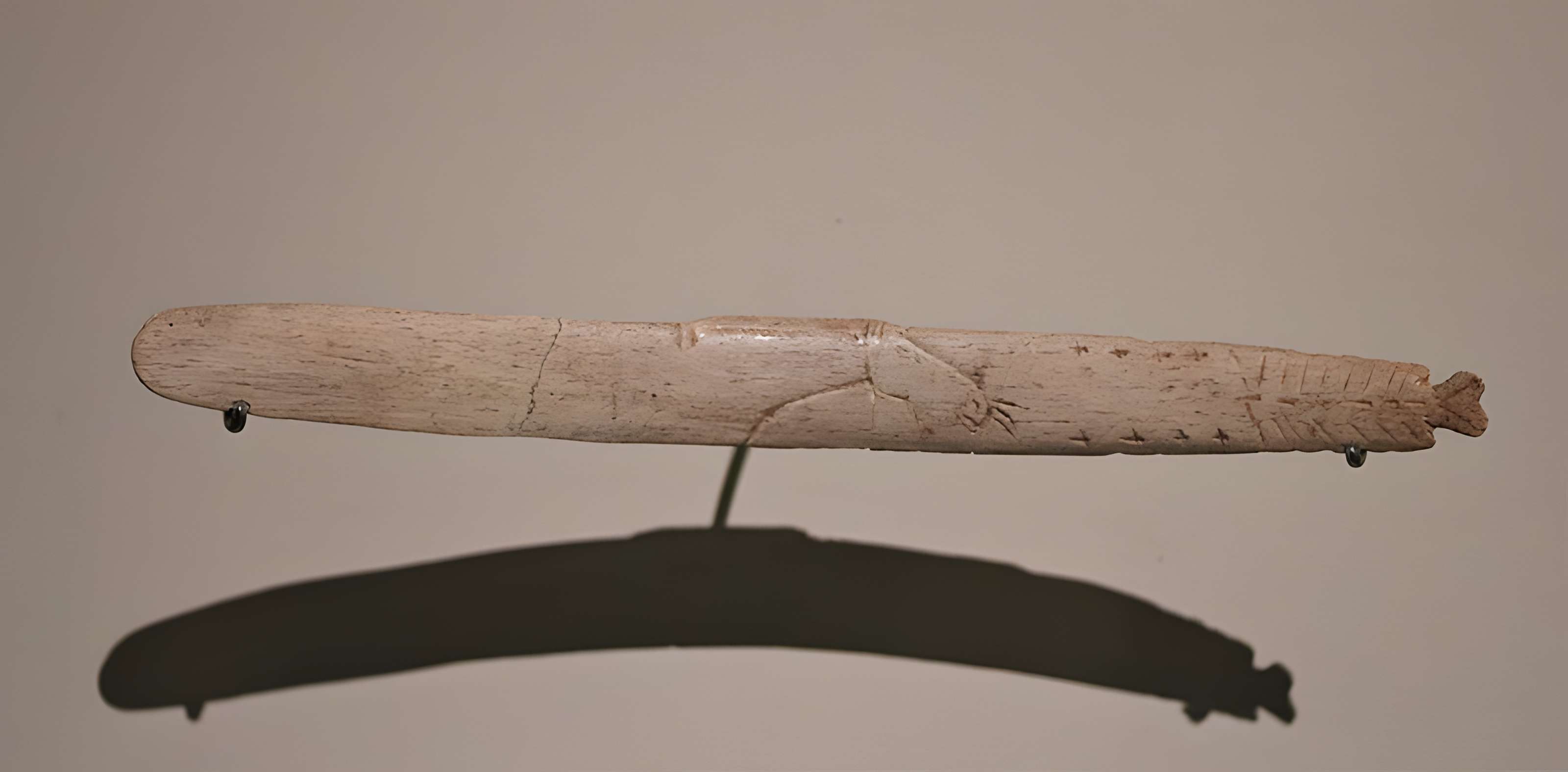 Gisement de Laugerie-Basse