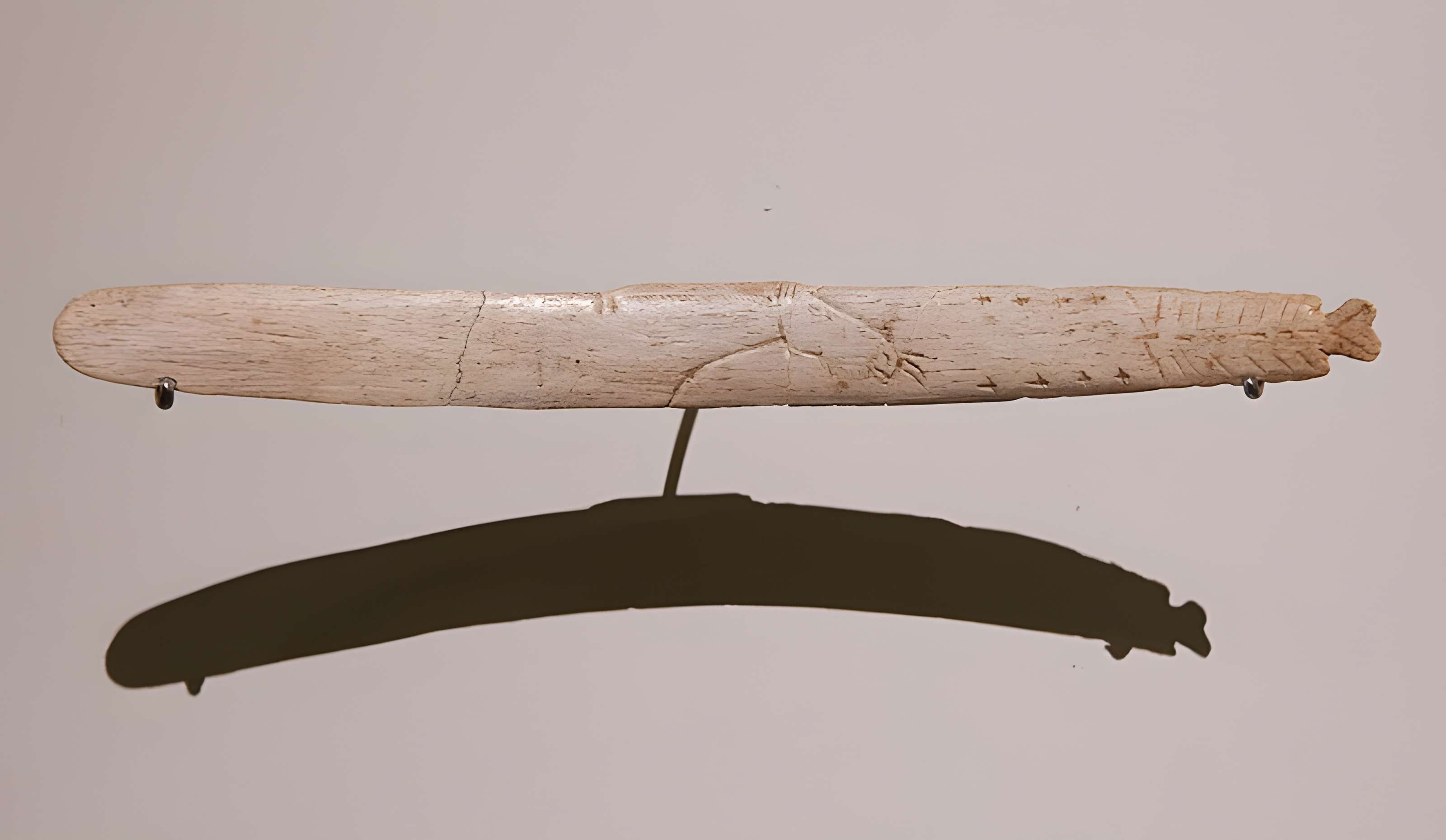 Gisement de Laugerie-Basse