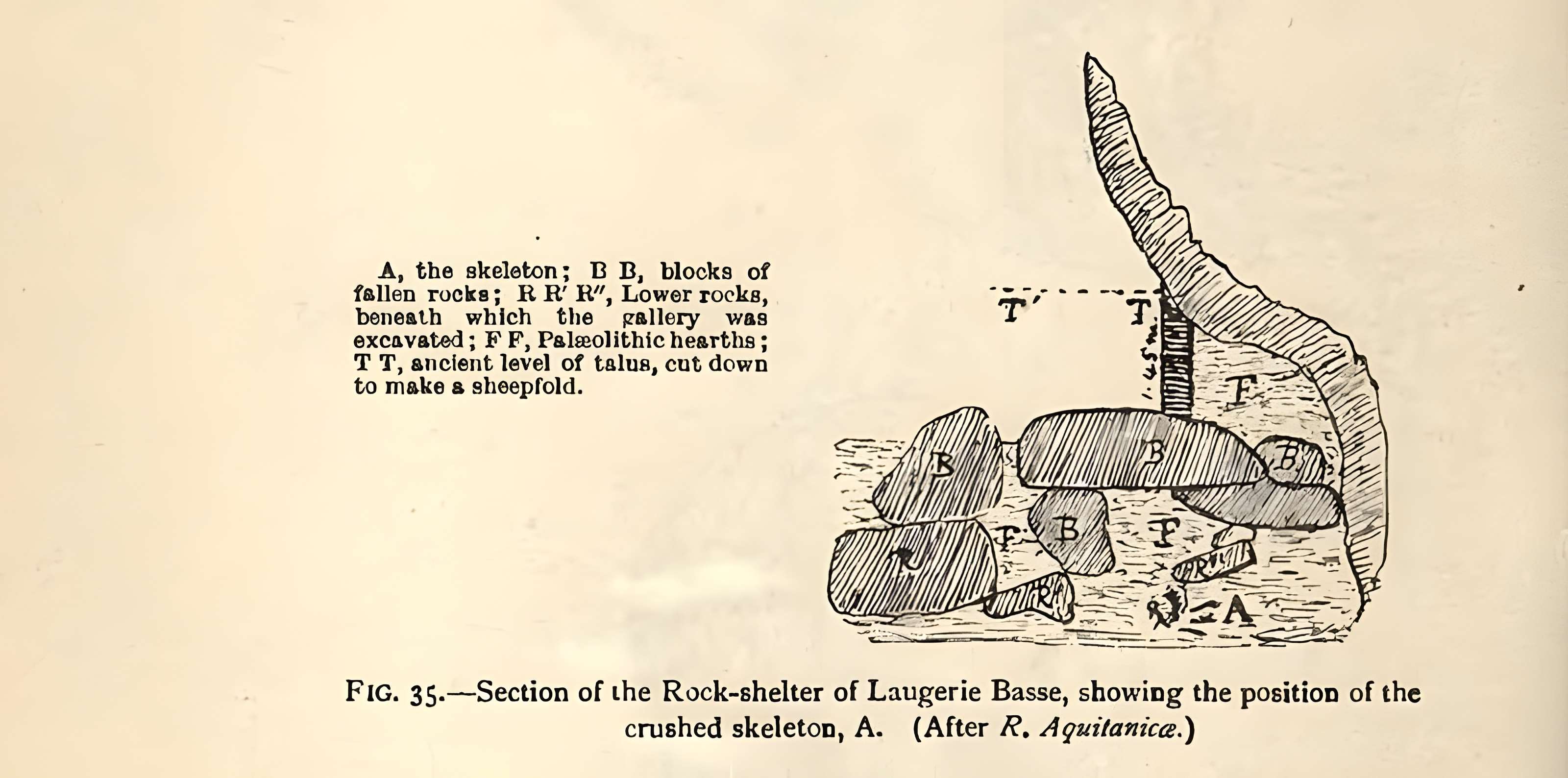 Gisement de Laugerie-Basse