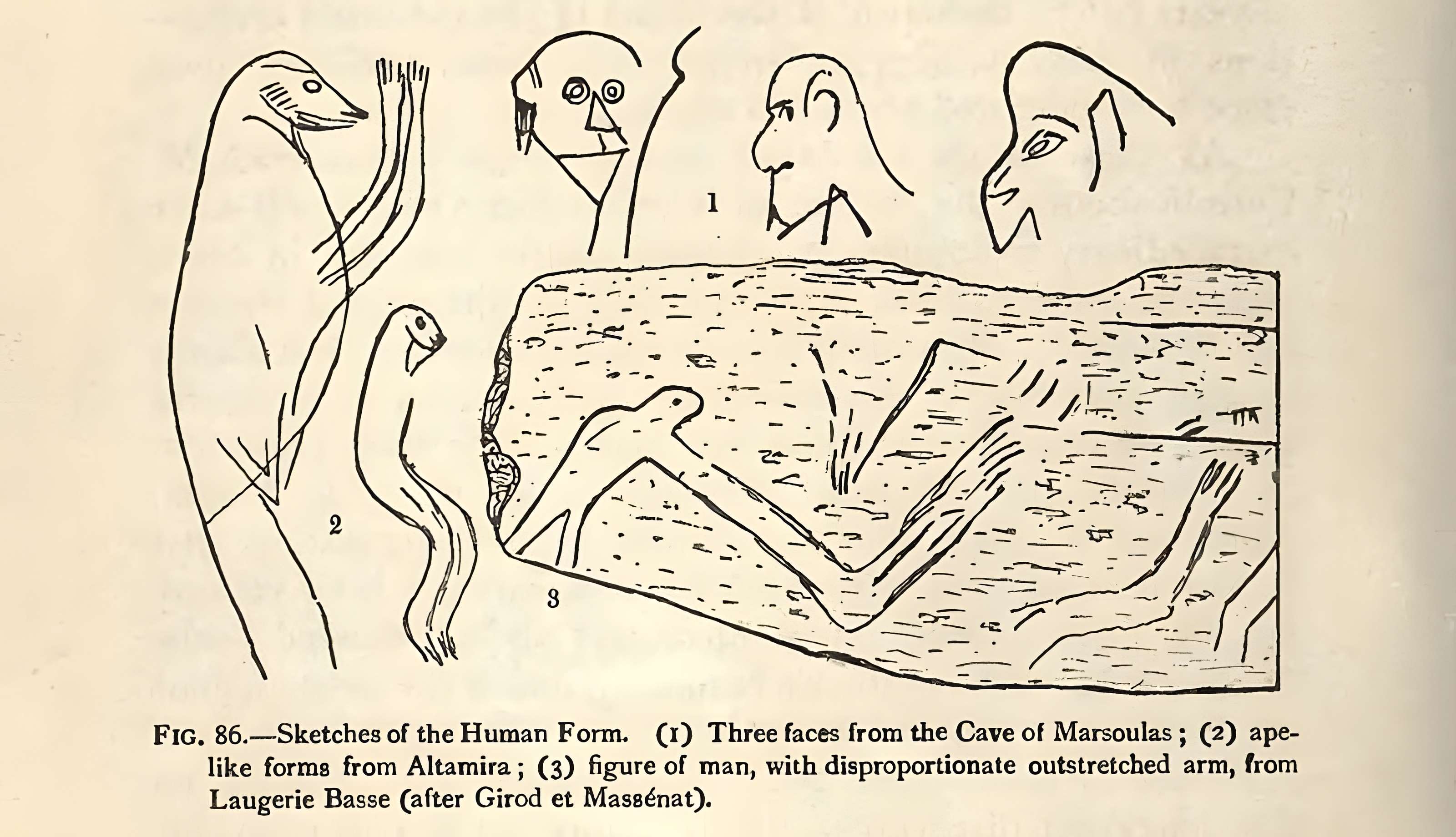Gisement de Laugerie-Basse