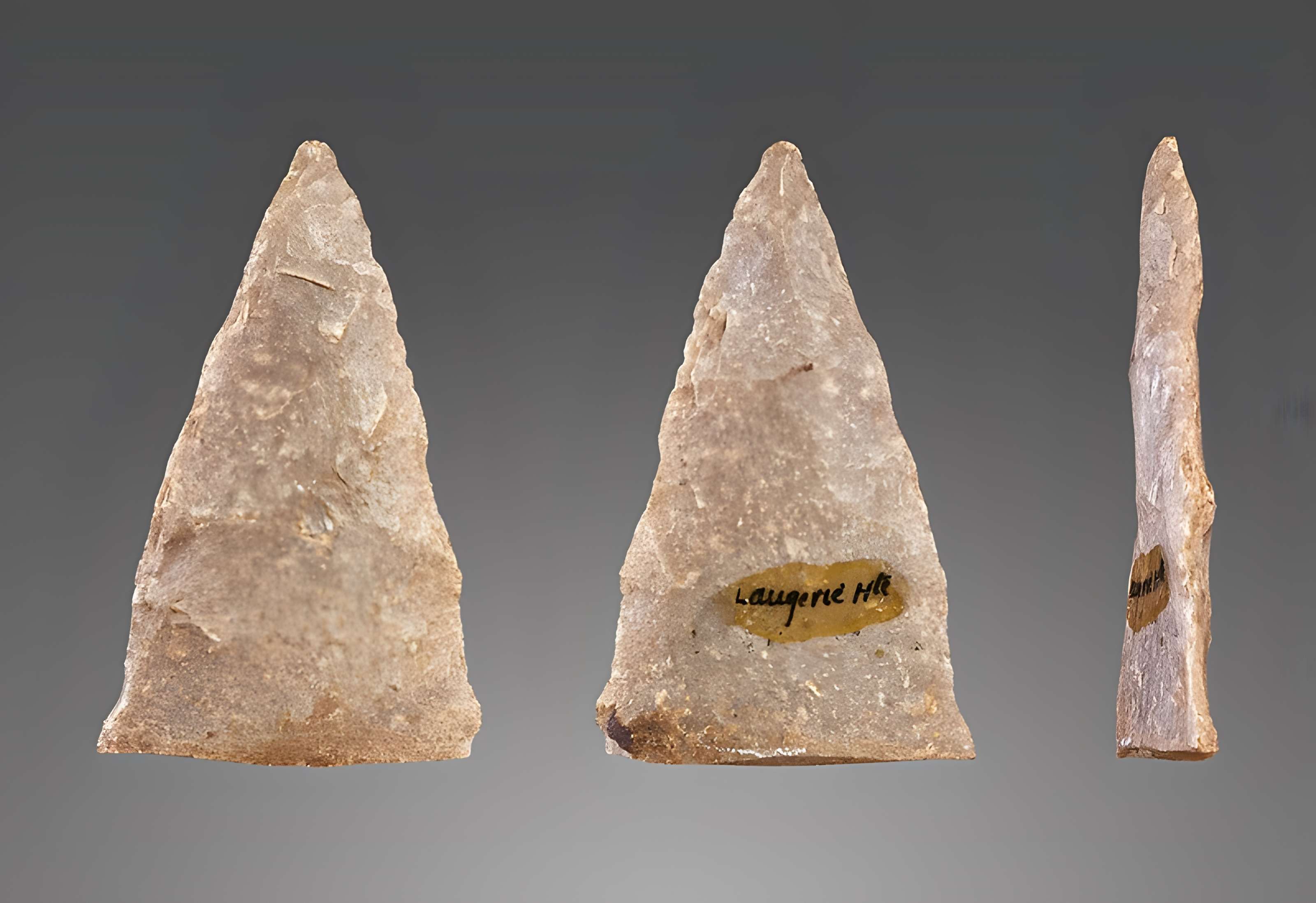 Gisement de Laugerie-Basse