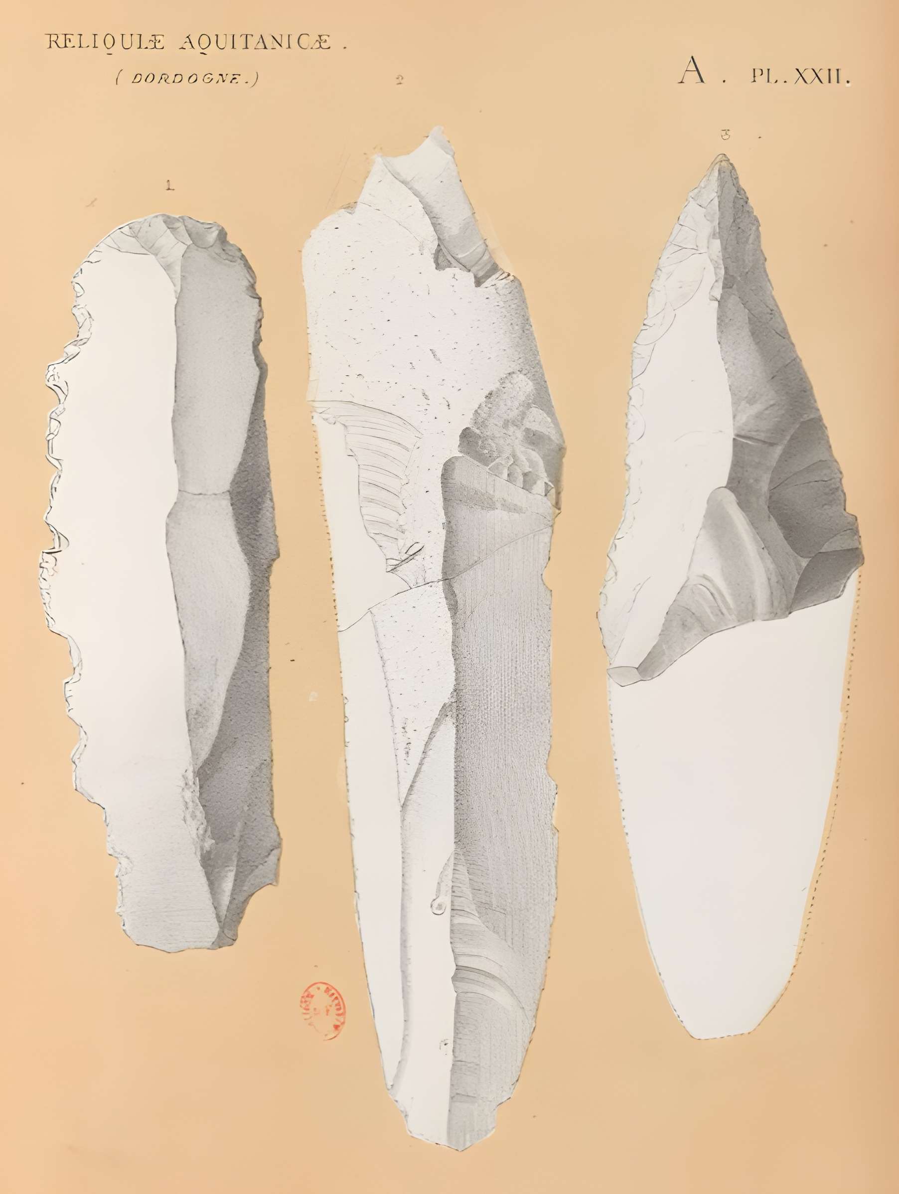 Gisement de Laugerie-Basse