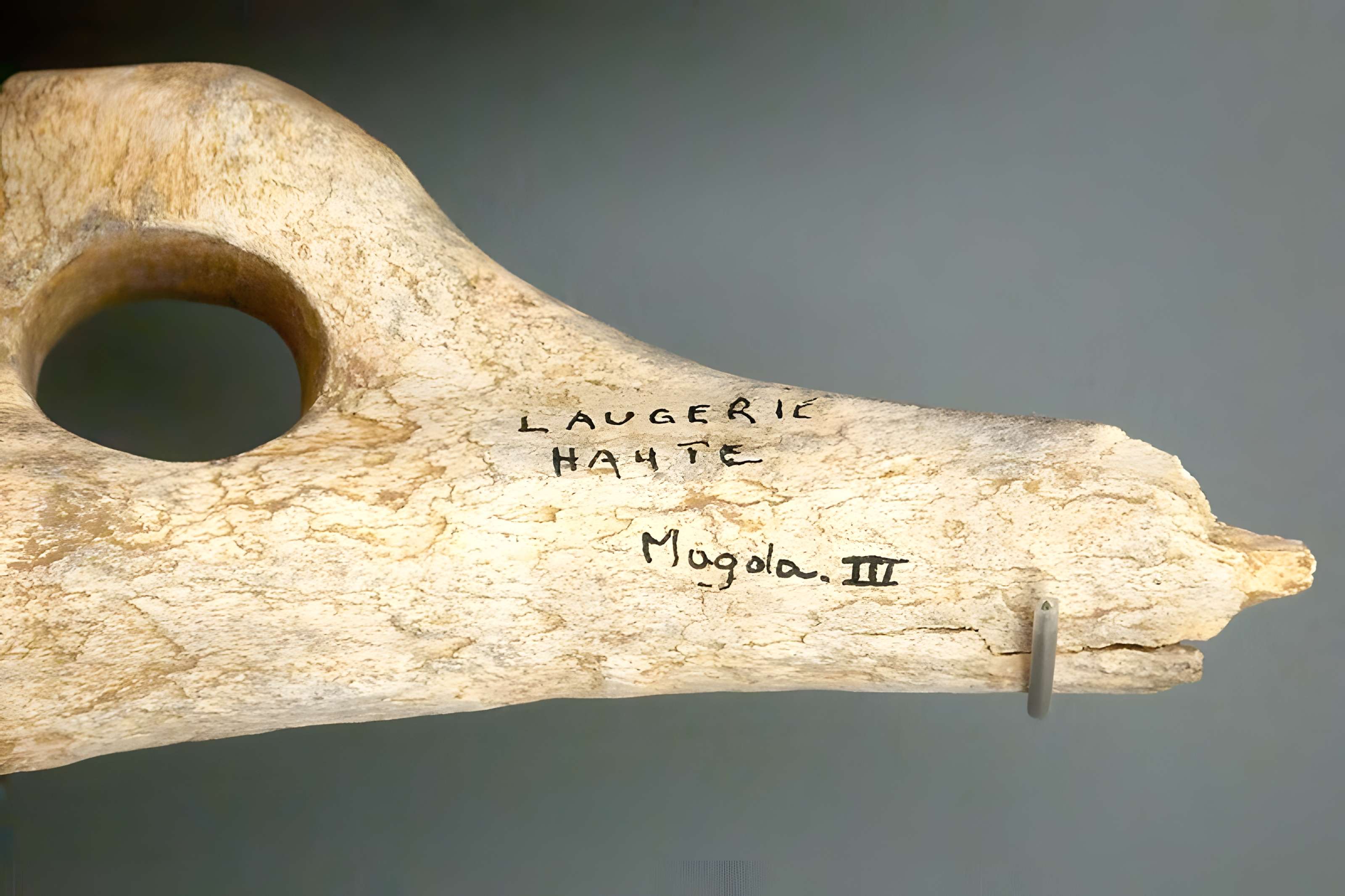 Gisement de Laugerie-Basse