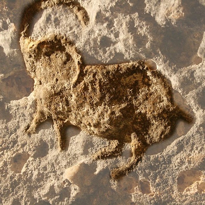 Photo de Gisement préhistorique du Vignaud