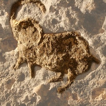 Gisement préhistorique du Pataud