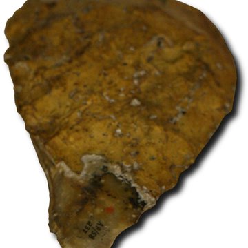 Gisement préhistorique du Pataud