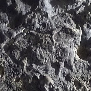 Gisement préhistorique du Pataud