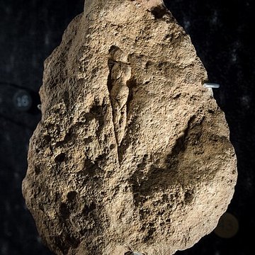 Gisement préhistorique du Pataud