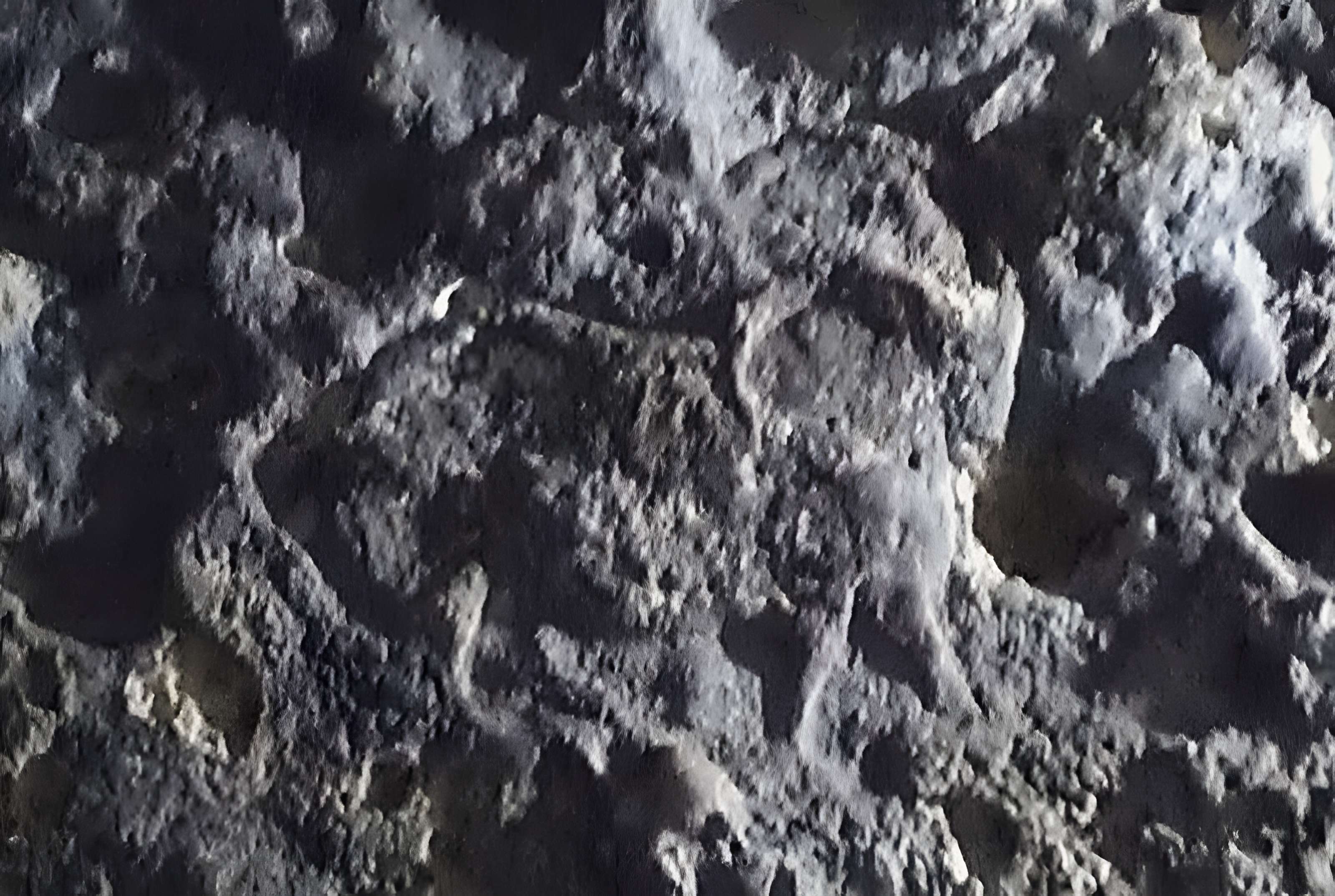 Gisement préhistorique du Pataud