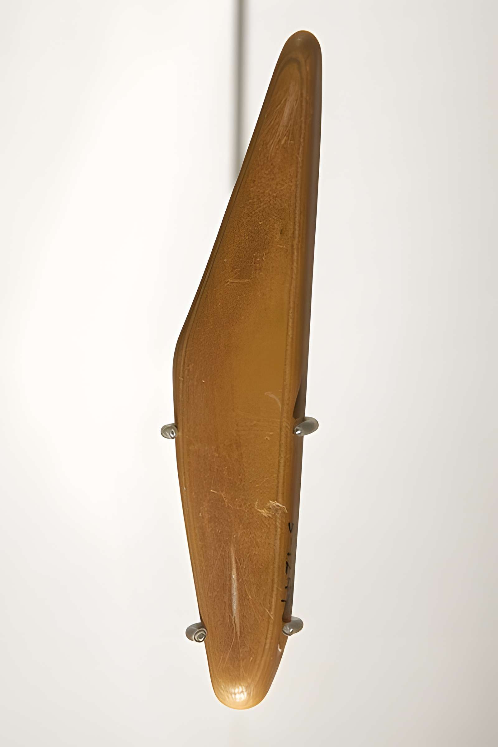 Gisement préhistorique du Pataud