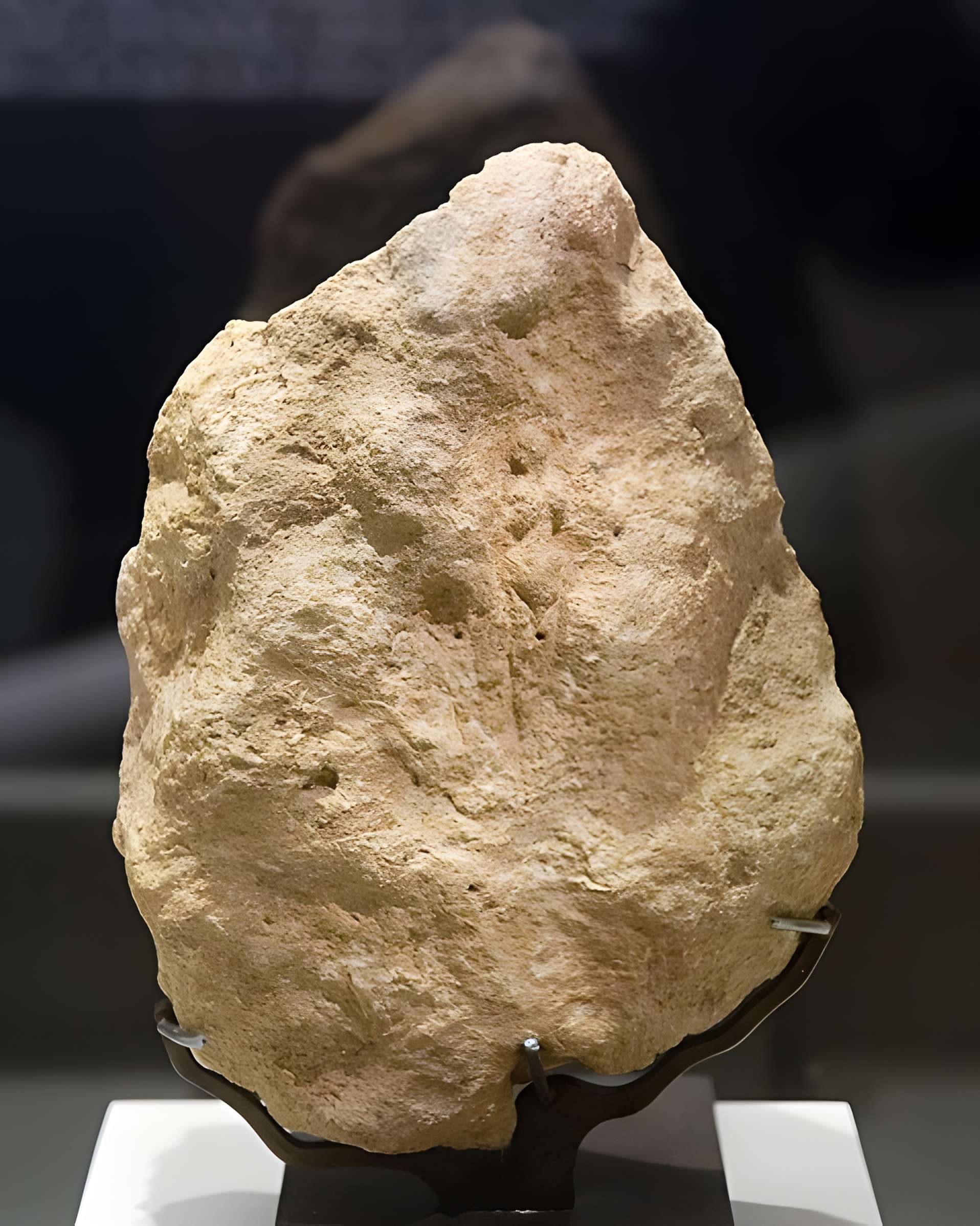 Gisement préhistorique du Pataud