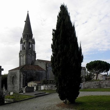 Église Notre-Dame de lAssomption de Fenioux