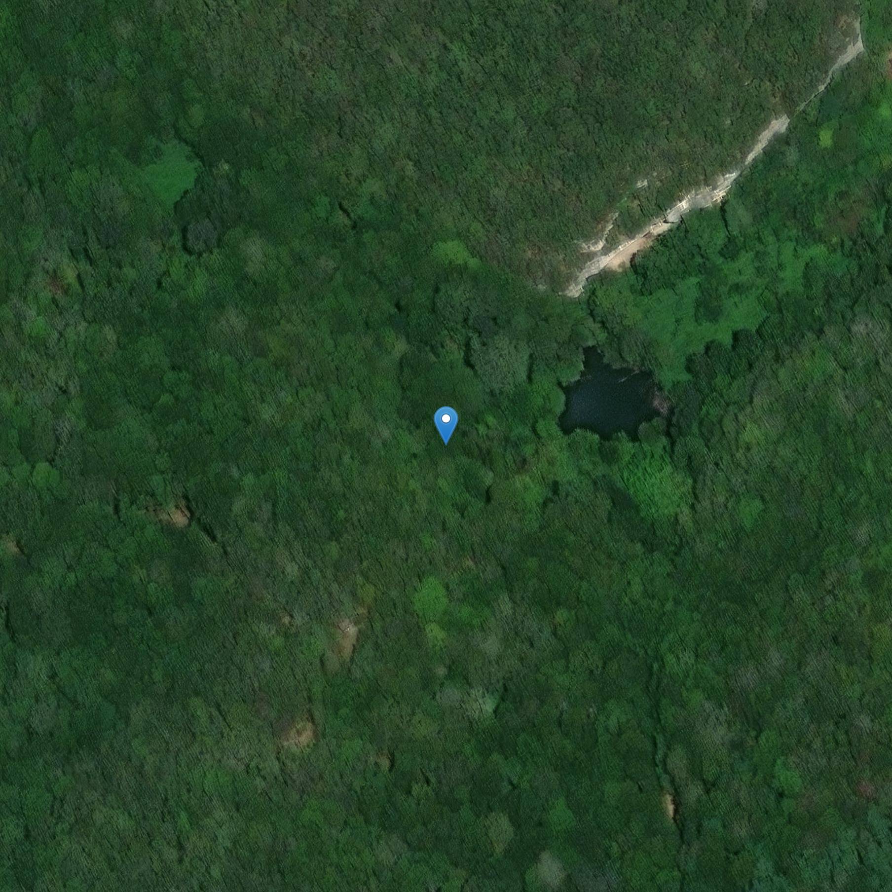 Photo de Grotte d'Abzac