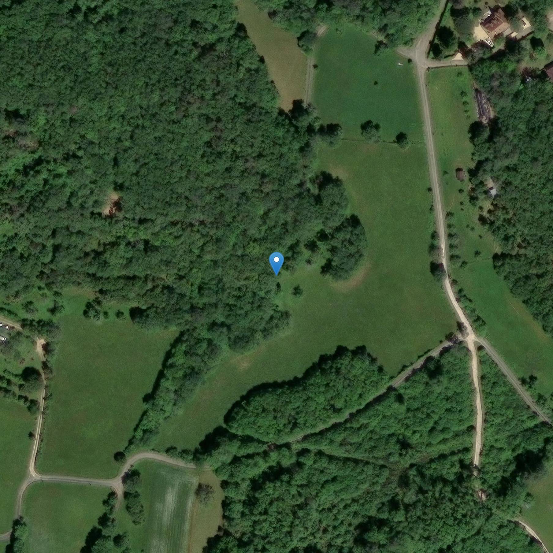 Photo de Grotte de la Mouthe contenant des peintures préhistoriques