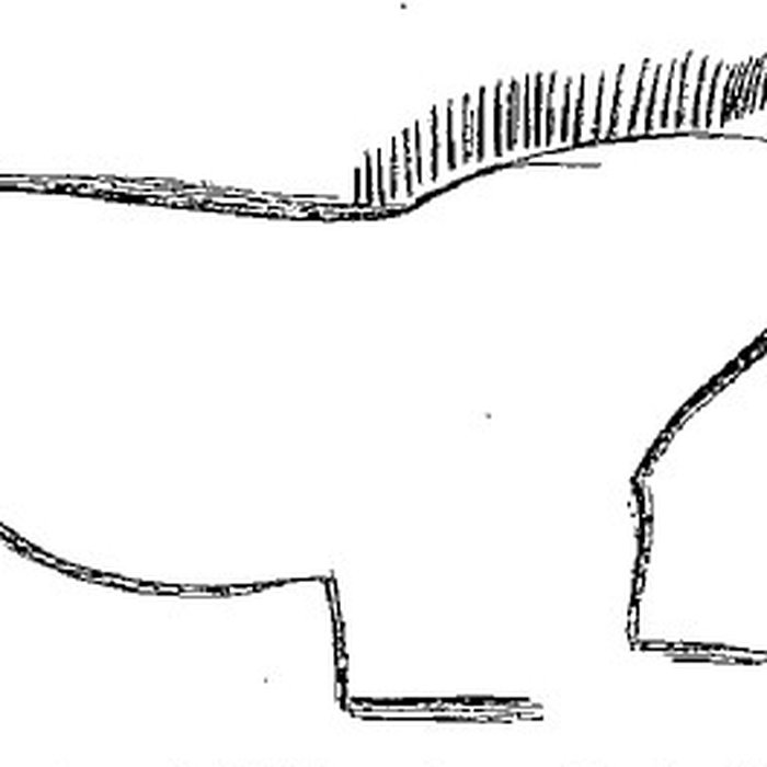 Photo de Grotte du château de Comarque