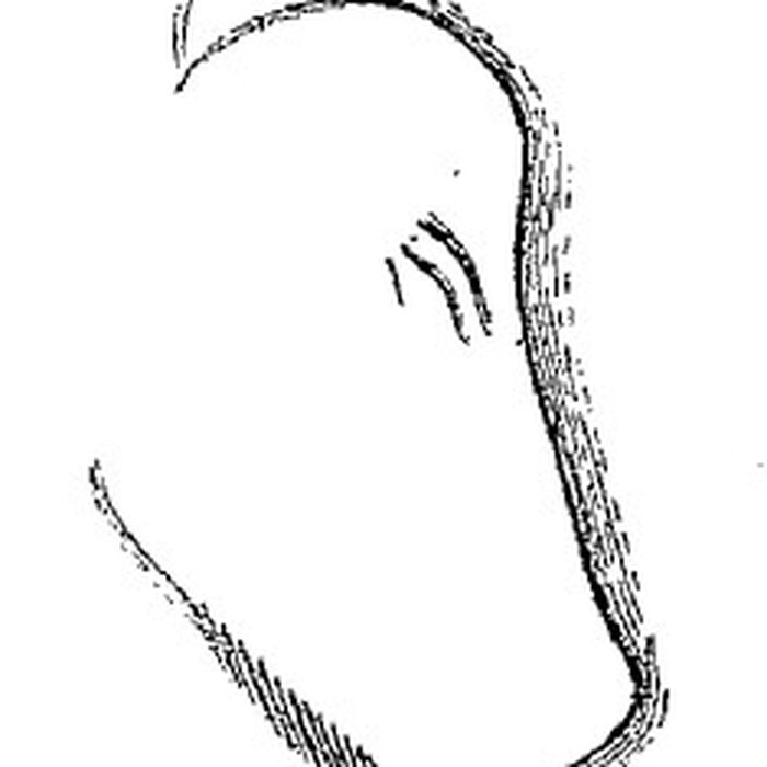 Photo de Grotte du château de Comarque