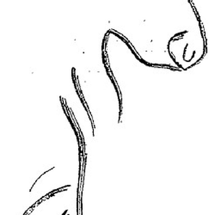 Photo de Grotte du château de Comarque