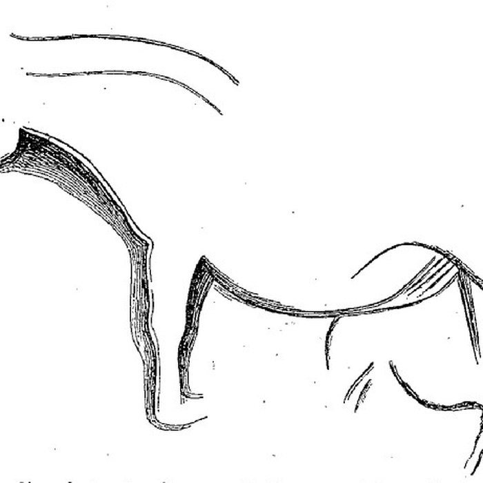 Photo de Grotte du château de Comarque