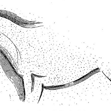 Grotte du château de Comarque