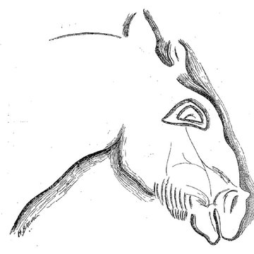 Grotte du château de Comarque