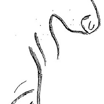 Grotte du château de Comarque