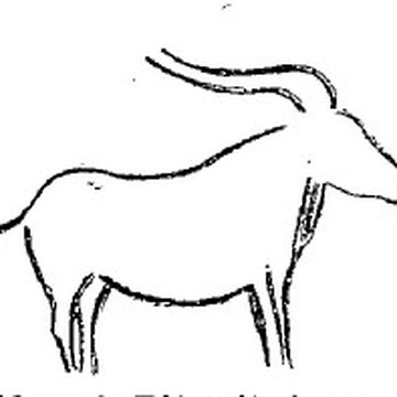 Grotte du château de Comarque