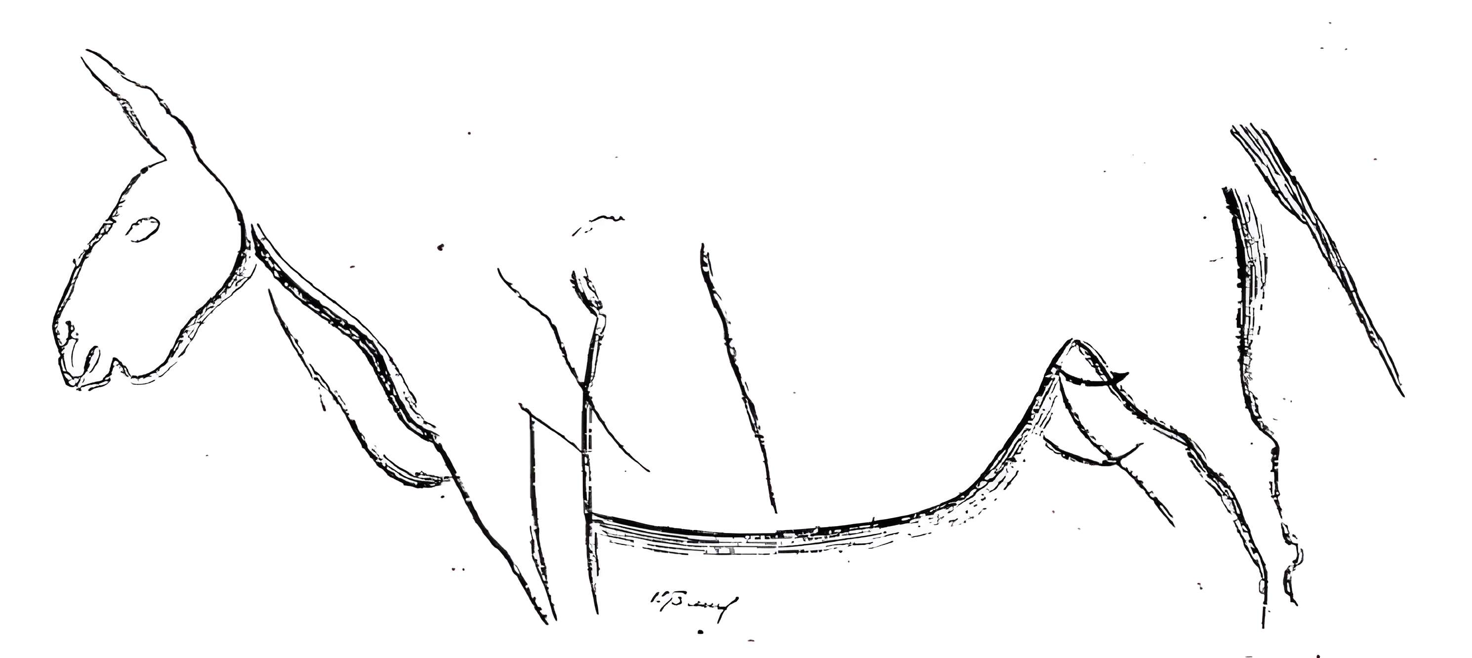 Grotte du château de Comarque